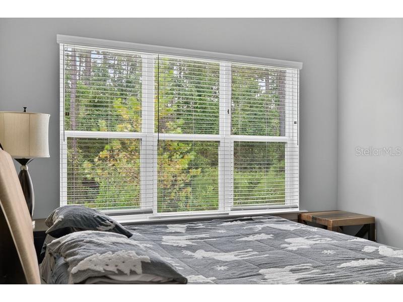 156 Loosestrife Way Saint Augustine FL 32095 L4956469 image25