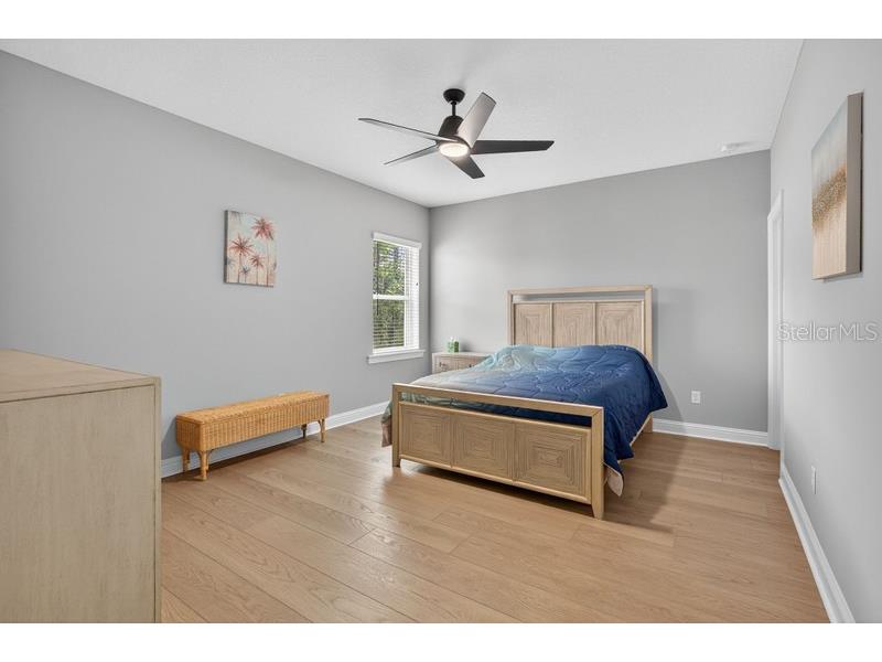 156 Loosestrife Way Saint Augustine FL 32095 L4956469 image42