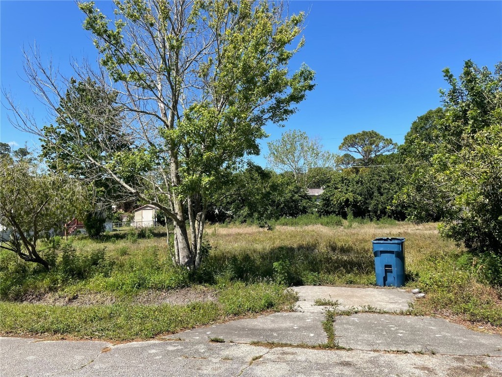 156 Mae Street Oak Hill FL 32759 V4941938 image1