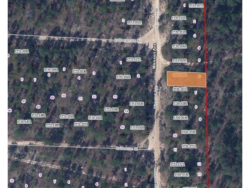 156 Missouri Avenue Hawthorne FL 32640 OM629906 image2