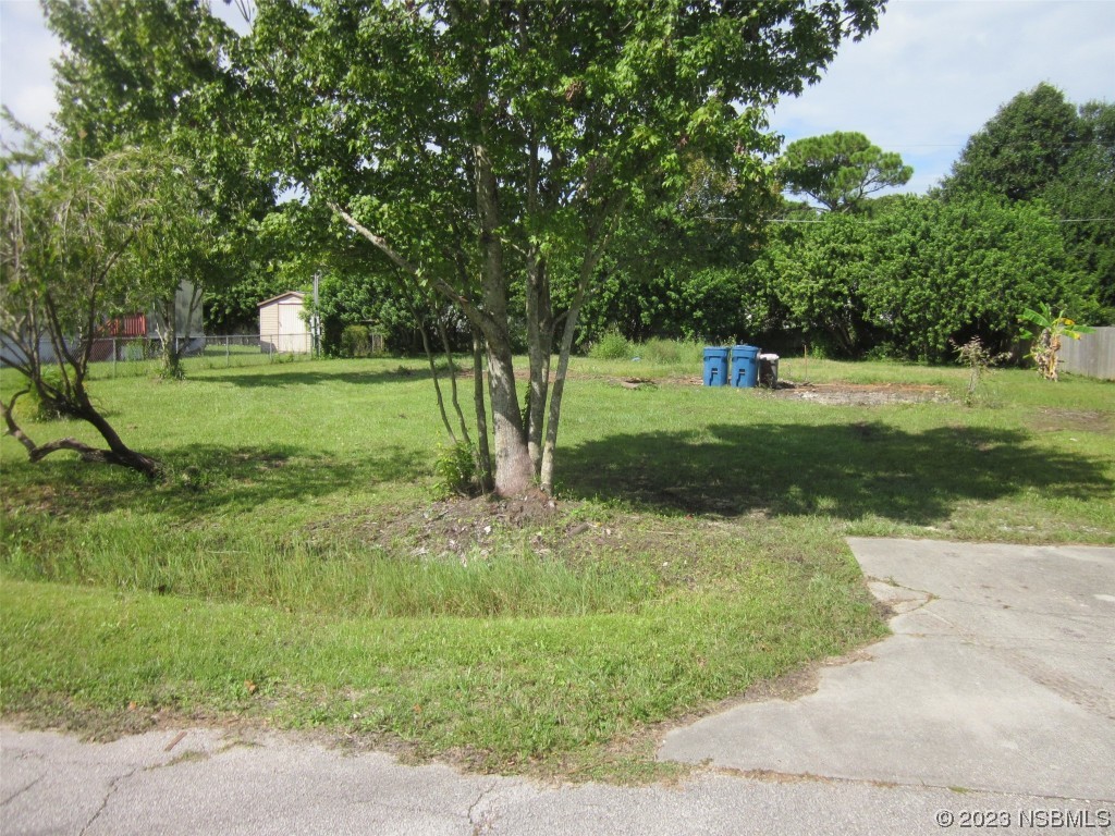 156 Mae Street Oak Hill FL 32759 NS1075478 image1
