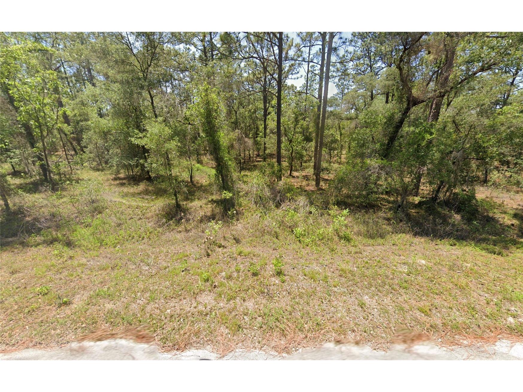 156 NW Redwing Road Dunnellon FL 34431 OM716188 image1