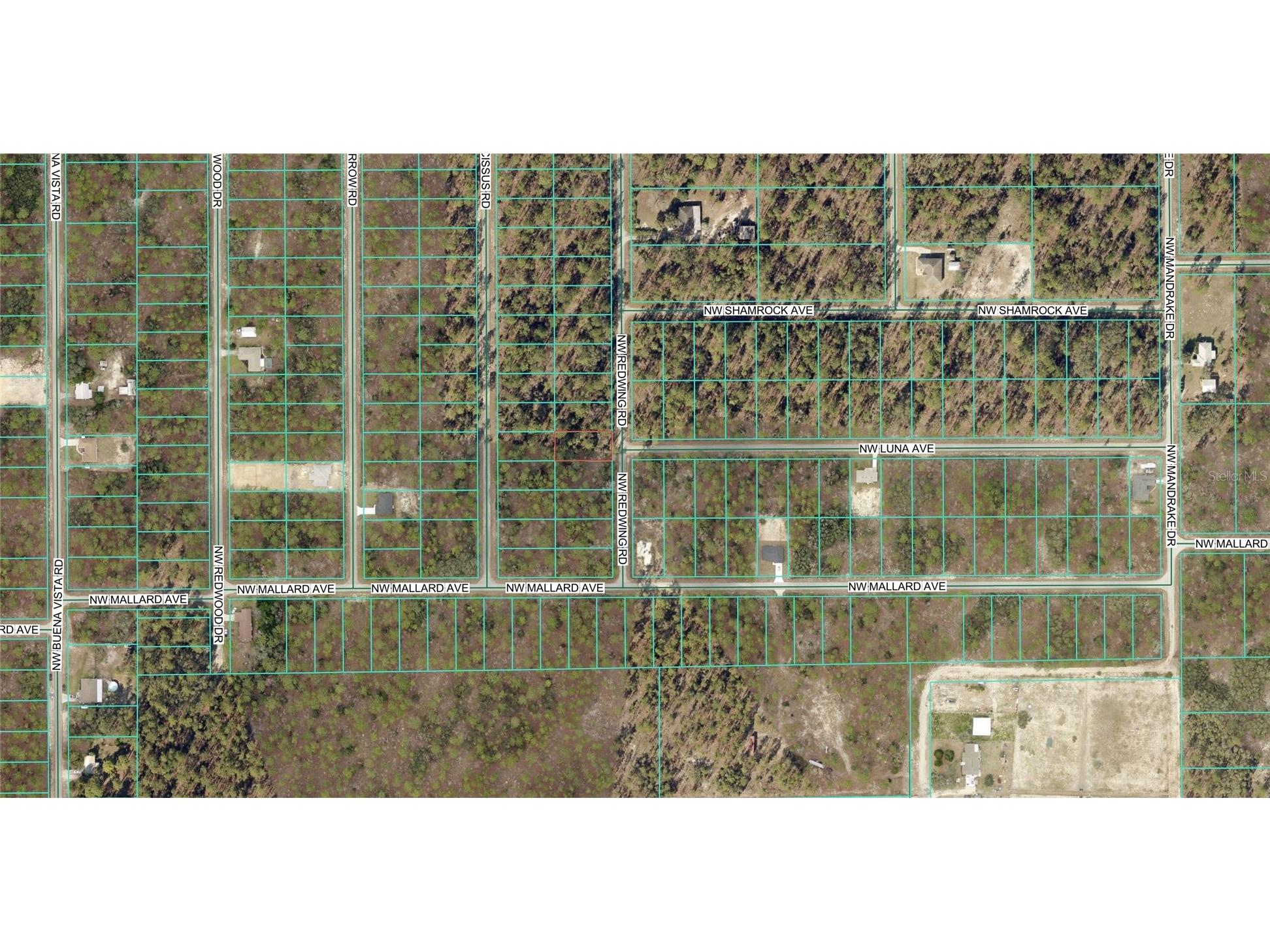 156 NW Redwing Road Dunnellon FL 34431 OM716188 image2