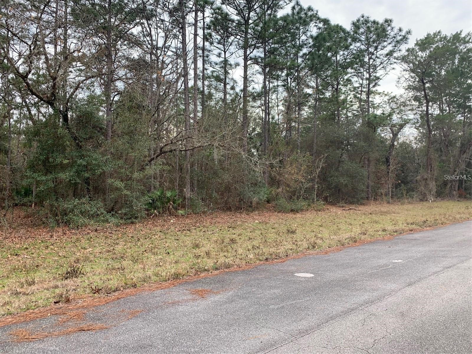 156 St Ocala FL 34473 S5141073 image1
