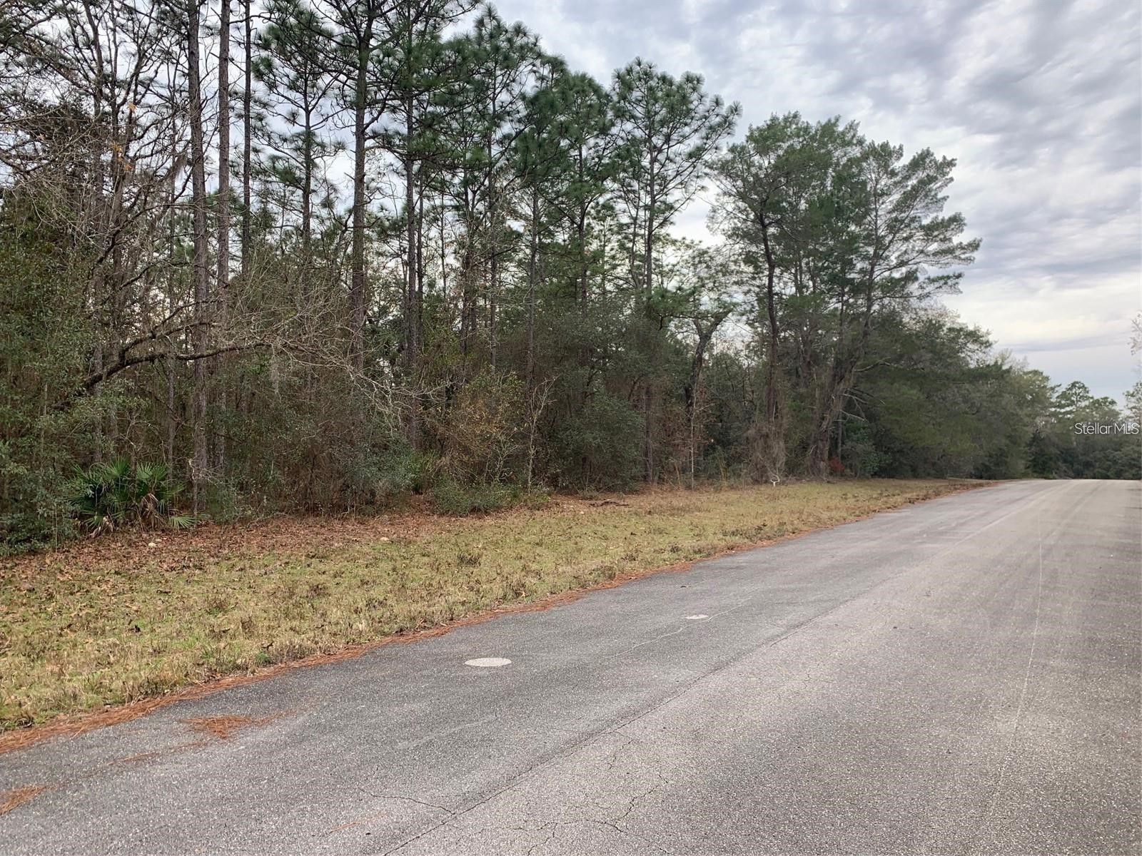 156 St Ocala FL 34473 S5141073 image2