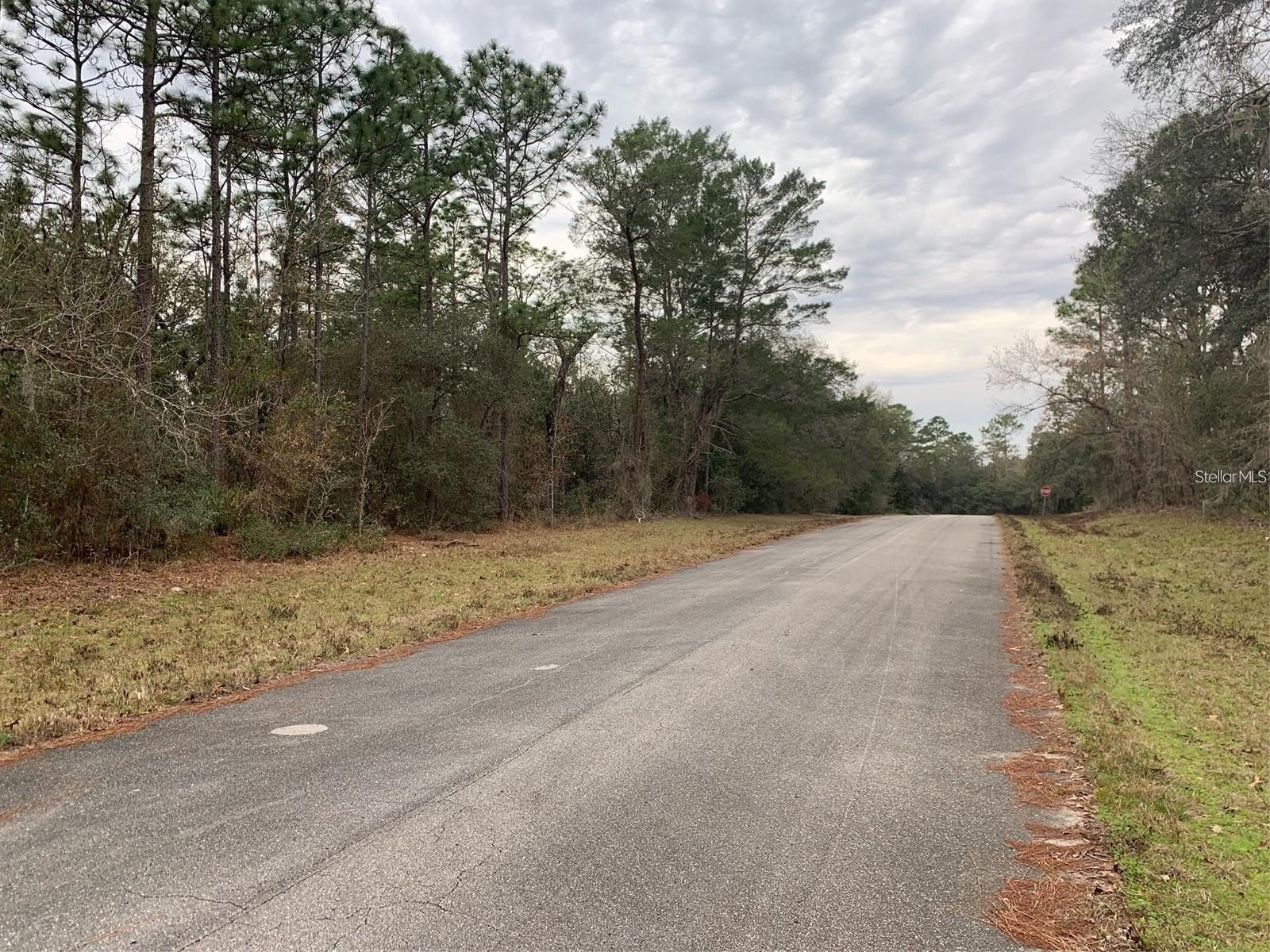 156 St Ocala FL 34473 S5141073 image3