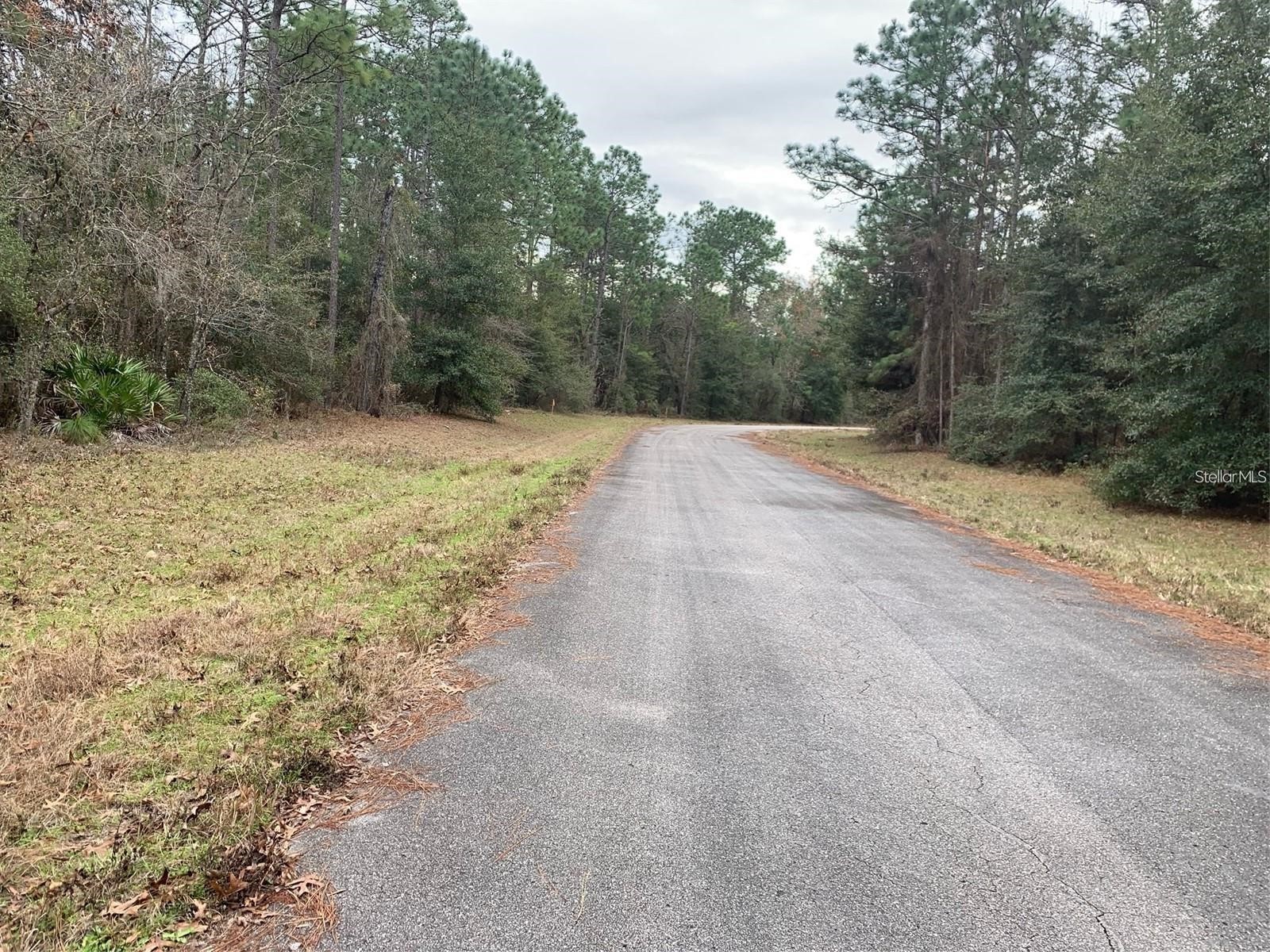 156 St Ocala FL 34473 S5141073 image4