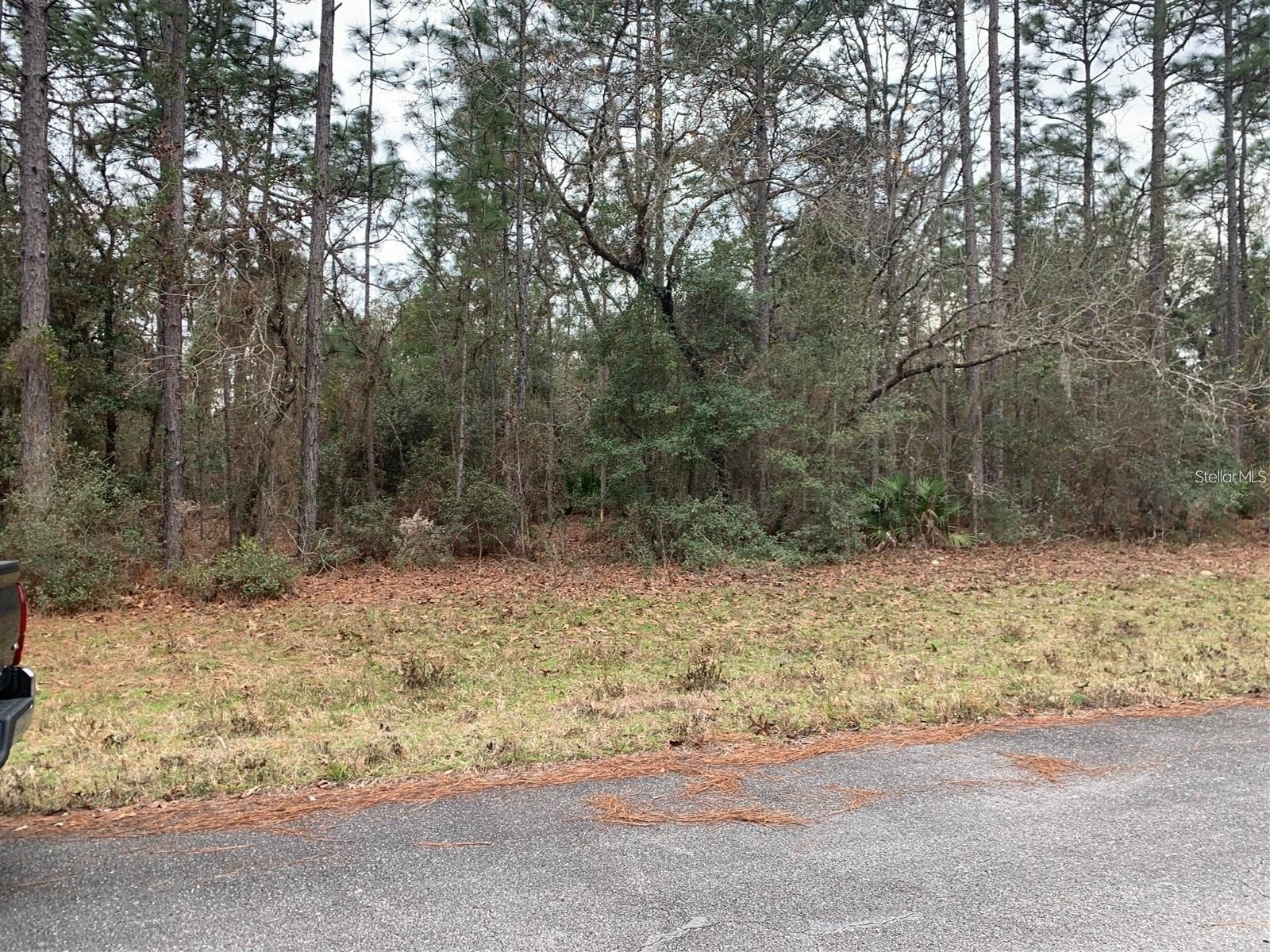 156 St Ocala FL 34473 S5141073 image5
