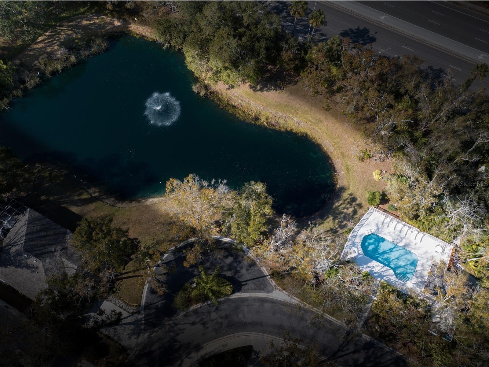 156 Tall Trees Court Sarasota FL 34232 TB8482194 image20