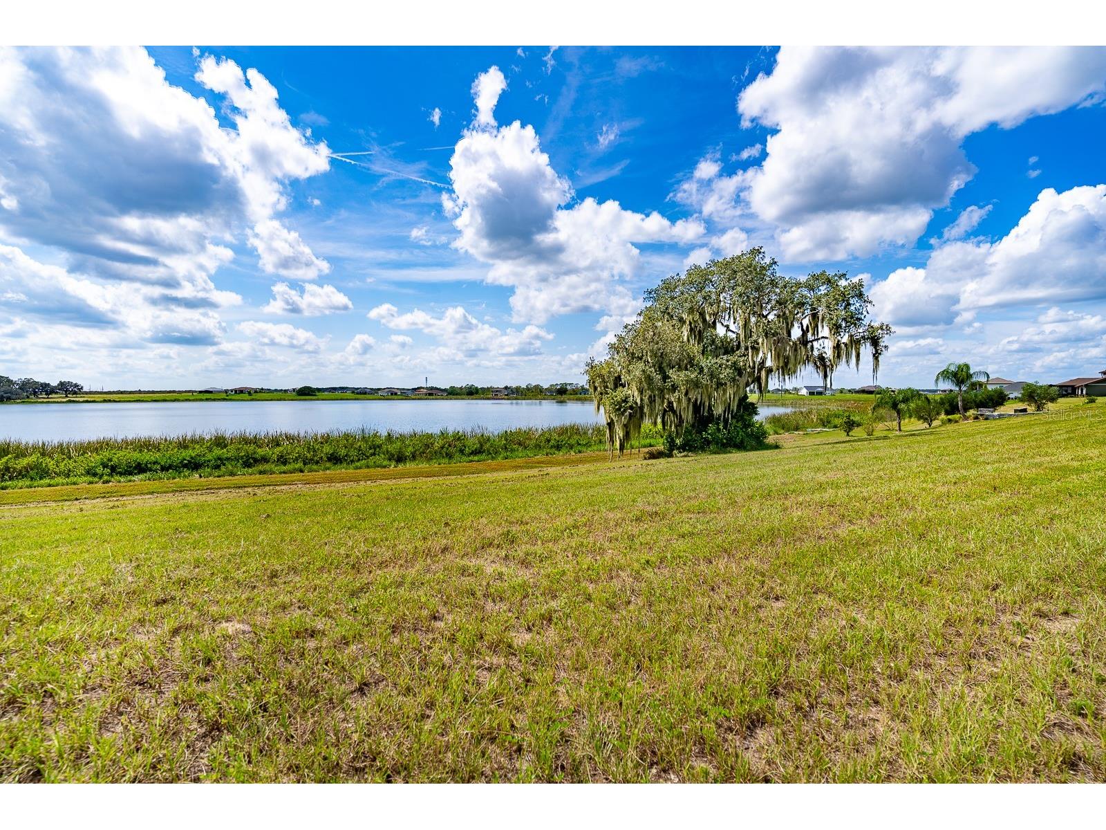 156 Valencia Ridge Drive Auburndale FL 33823 - LAKE MEDORA P4932062 image1
