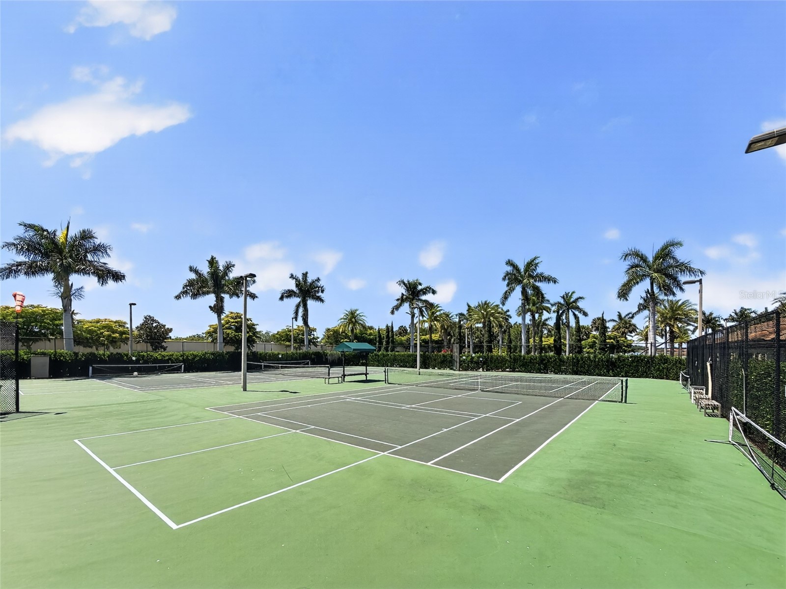 156 Ventosa Place Nokomis FL 34275 A4692217 image49
