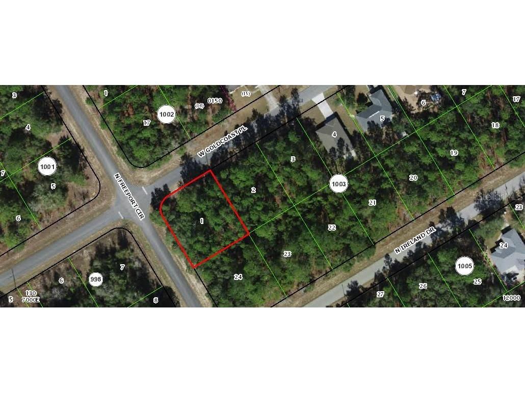 156 W Goldcoast Place Citrus Springs FL 34434 O6386681 image1