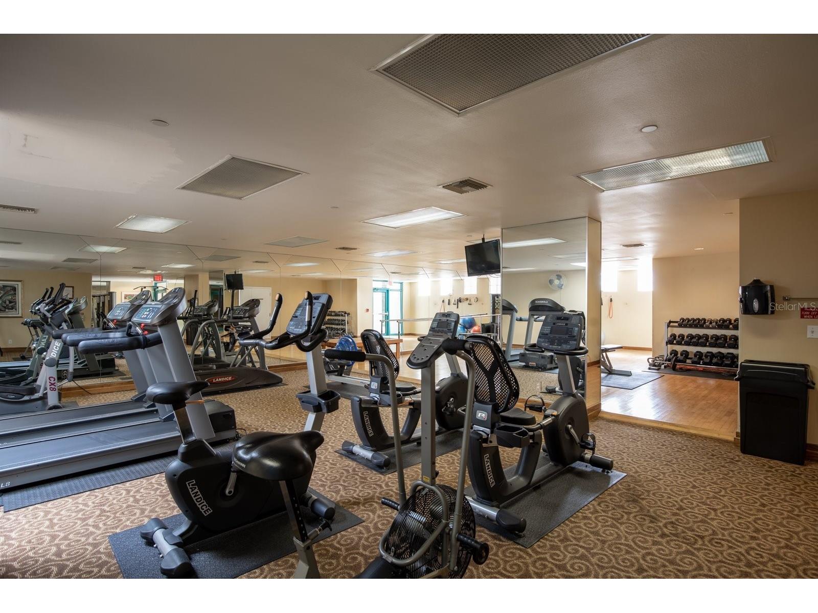 1560 Gulf Boulevard #1106 Clearwater Beach FL 33767 - GULF OF AMERIA TB8507072 image40
