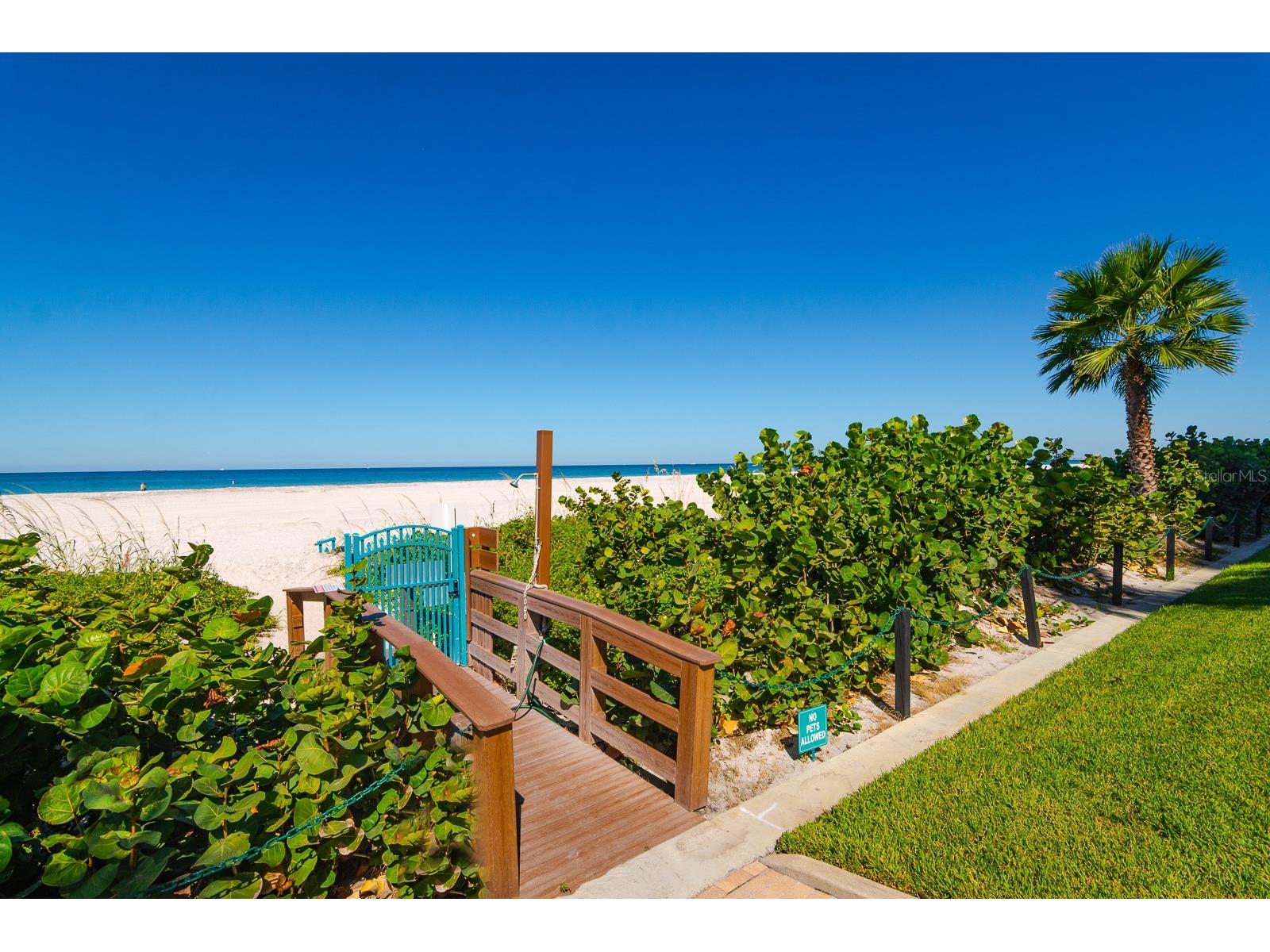 1560 Gulf Boulevard #1507 Clearwater Beach FL 33767 - GULF OF MEXICO TB8438602 image56