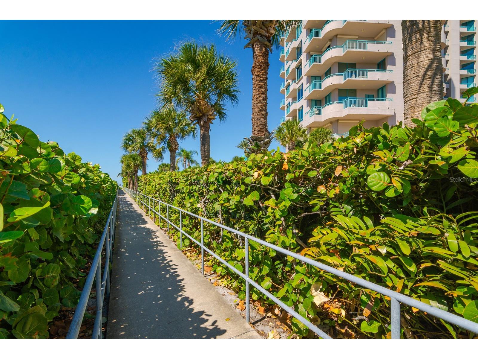 1560 Gulf Boulevard #1507 Clearwater Beach FL 33767 - GULF OF MEXICO TB8438602 image66
