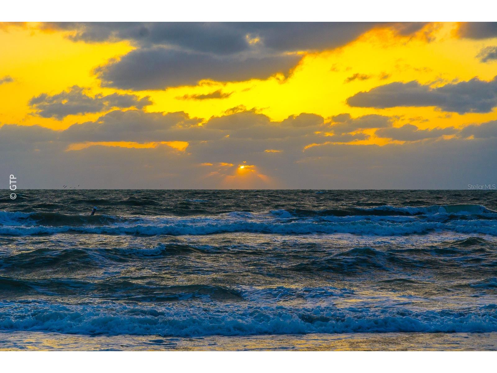 1560 Gulf Boulevard #1507 Clearwater Beach FL 33767 - GULF OF MEXICO TB8438602 image84