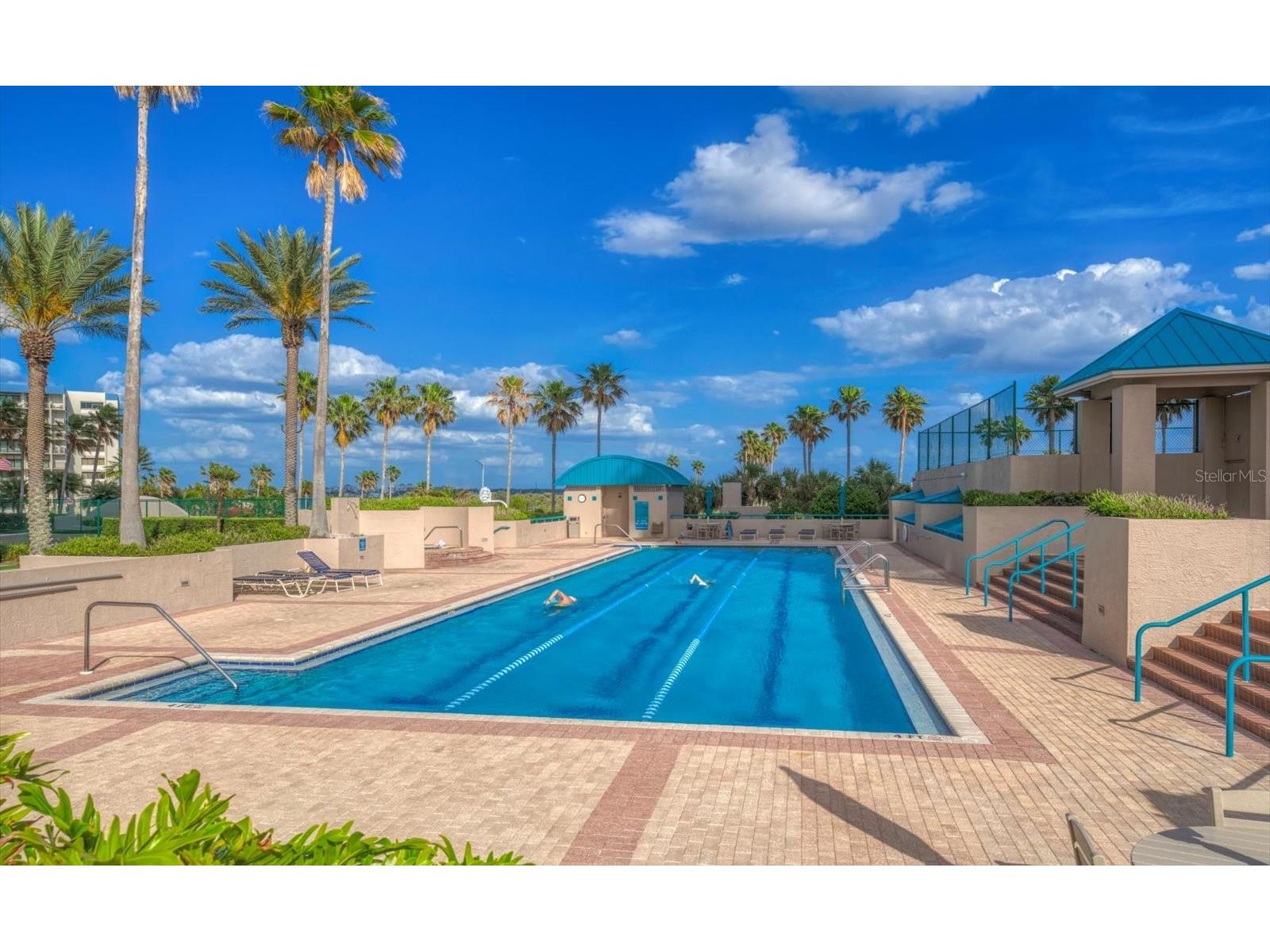 1560 Gulf Boulevard #304 Clearwater FL 33767 TB8497923 image36