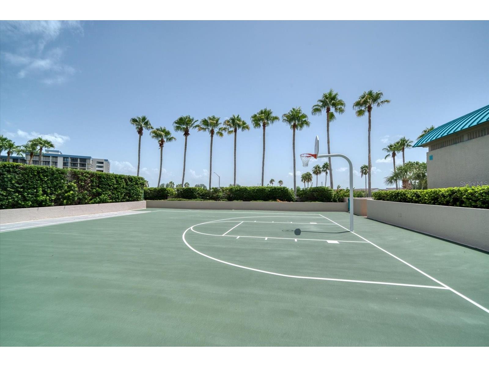 1560 Gulf Boulevard #304 Clearwater FL 33767 TB8497923 image38