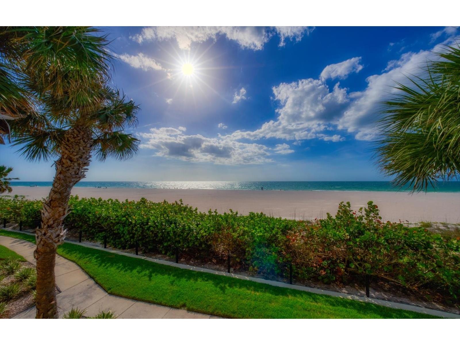 1560 Gulf Boulevard #304 Clearwater FL 33767 TB8497923 image40