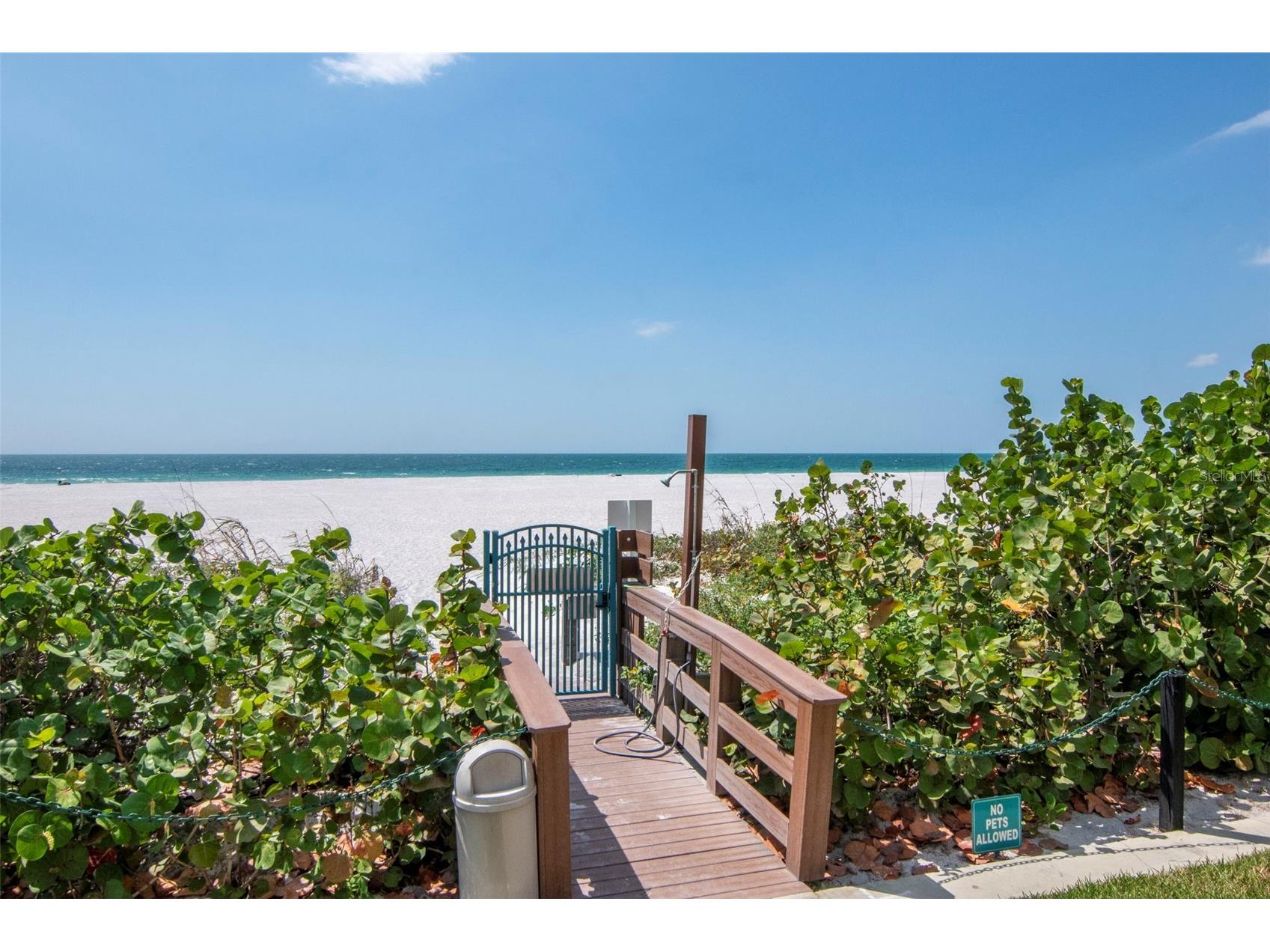 1560 Gulf Boulevard #4 Clearwater Beach FL 33767 TB8502984 image37