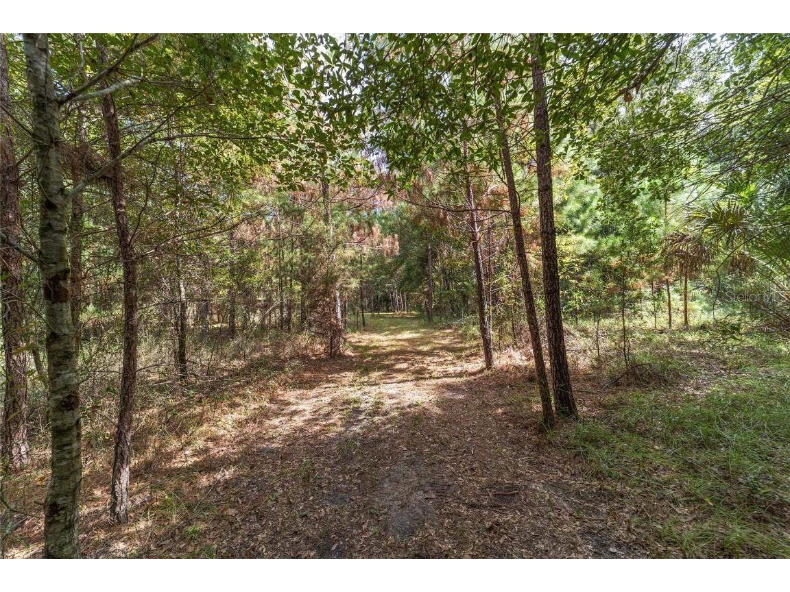 15600 NW 185th Street Williston FL 32696 OM710683 image92