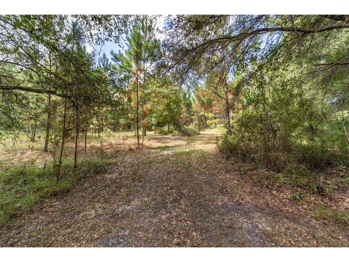 15600 NW 185th Street Williston FL 32696 OM710683 image93