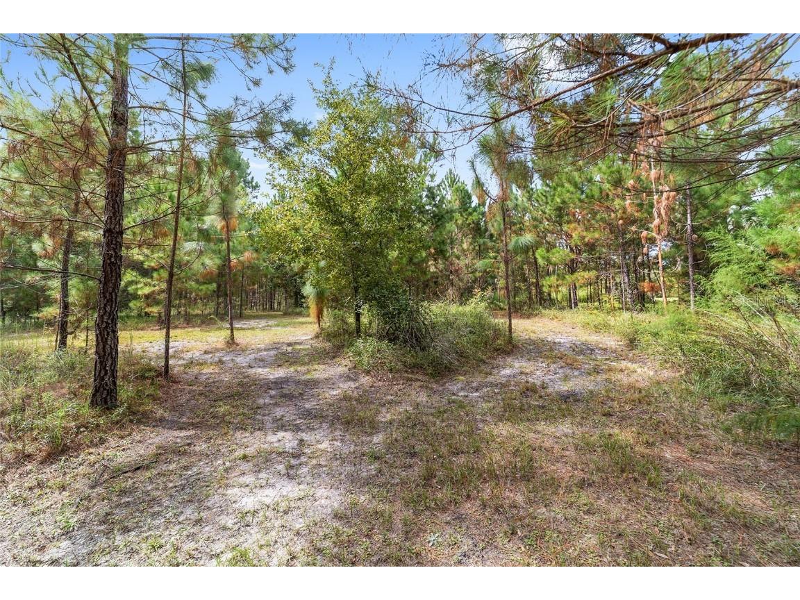 15600 NW 185th Street Williston FL 32696 OM710683 image94