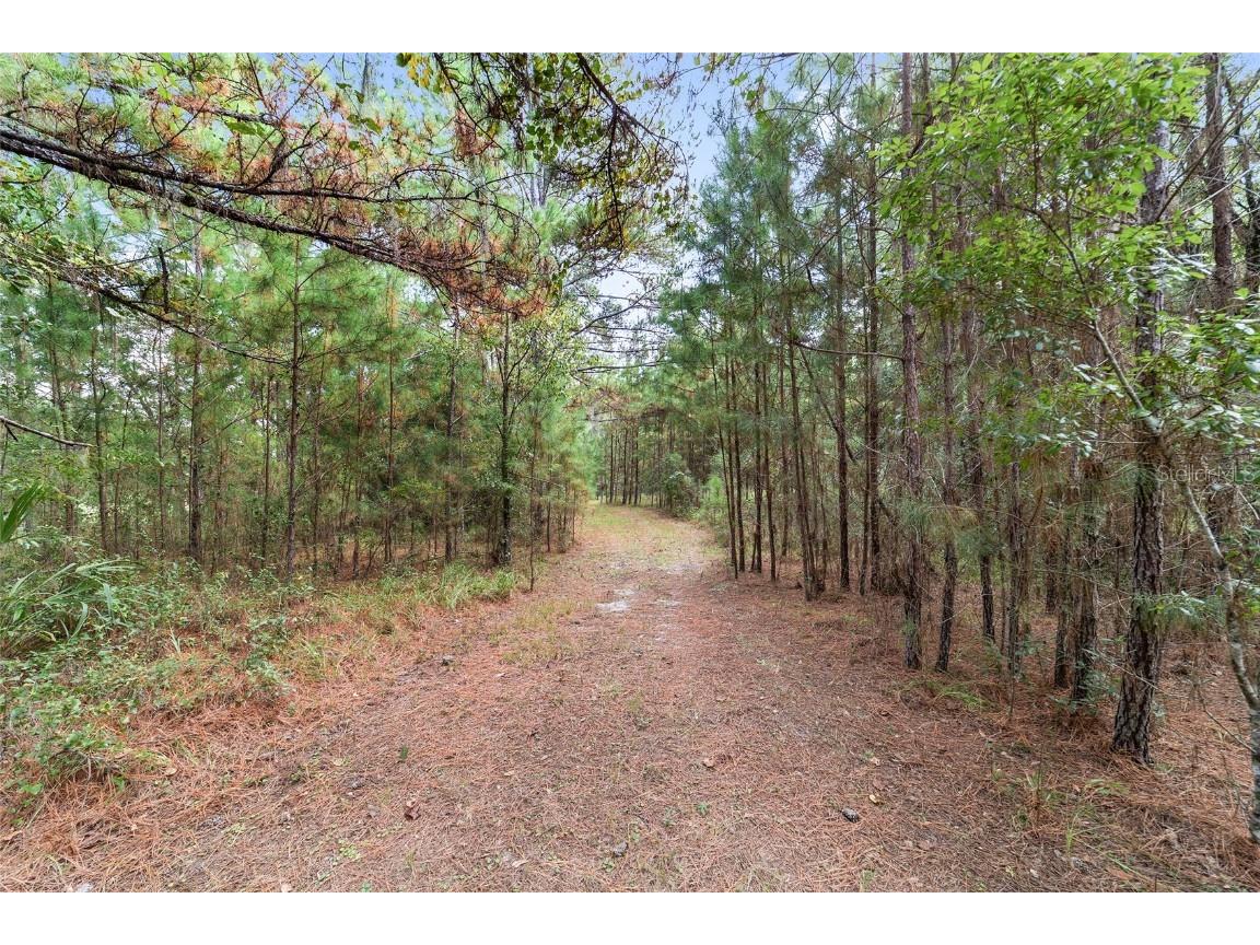 15600 NW 185th Street Williston FL 32696 OM710683 image95