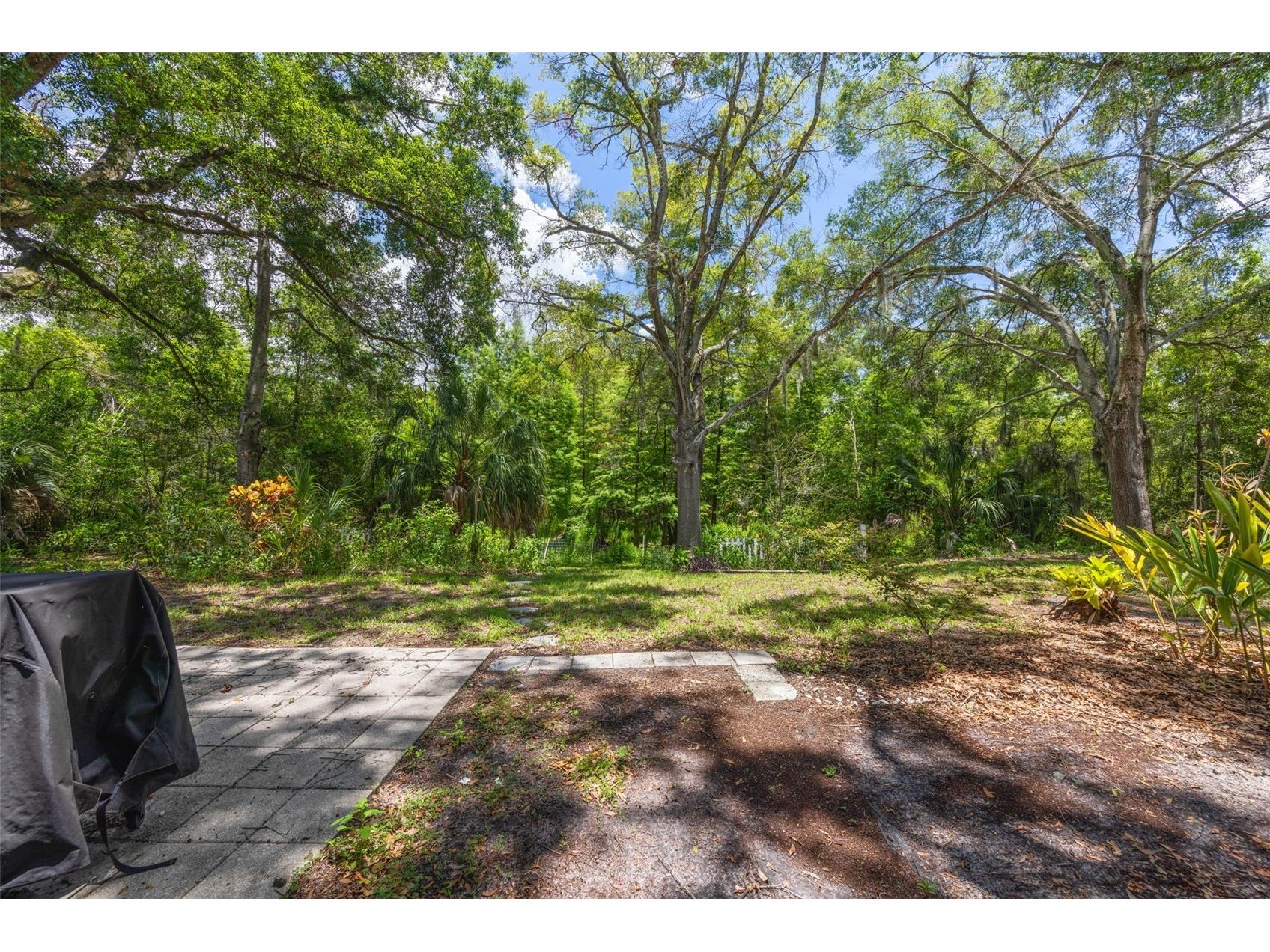 15601 Lakeshore Villa Loop Tampa FL 33613 W7887392 image27