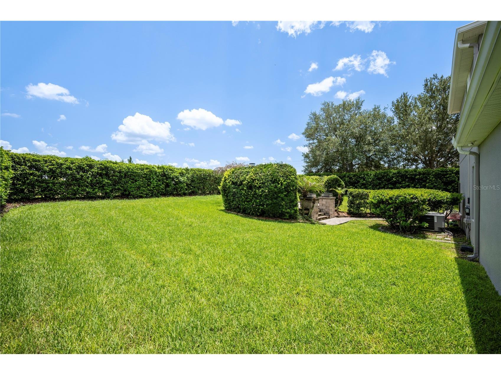 15604 Granlund Street Winter Garden FL 34787 O6422730 image38