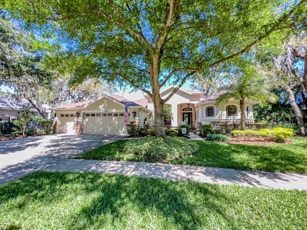 15604 Ibiscrest Court Lithia FL 33547 T3435024 image1