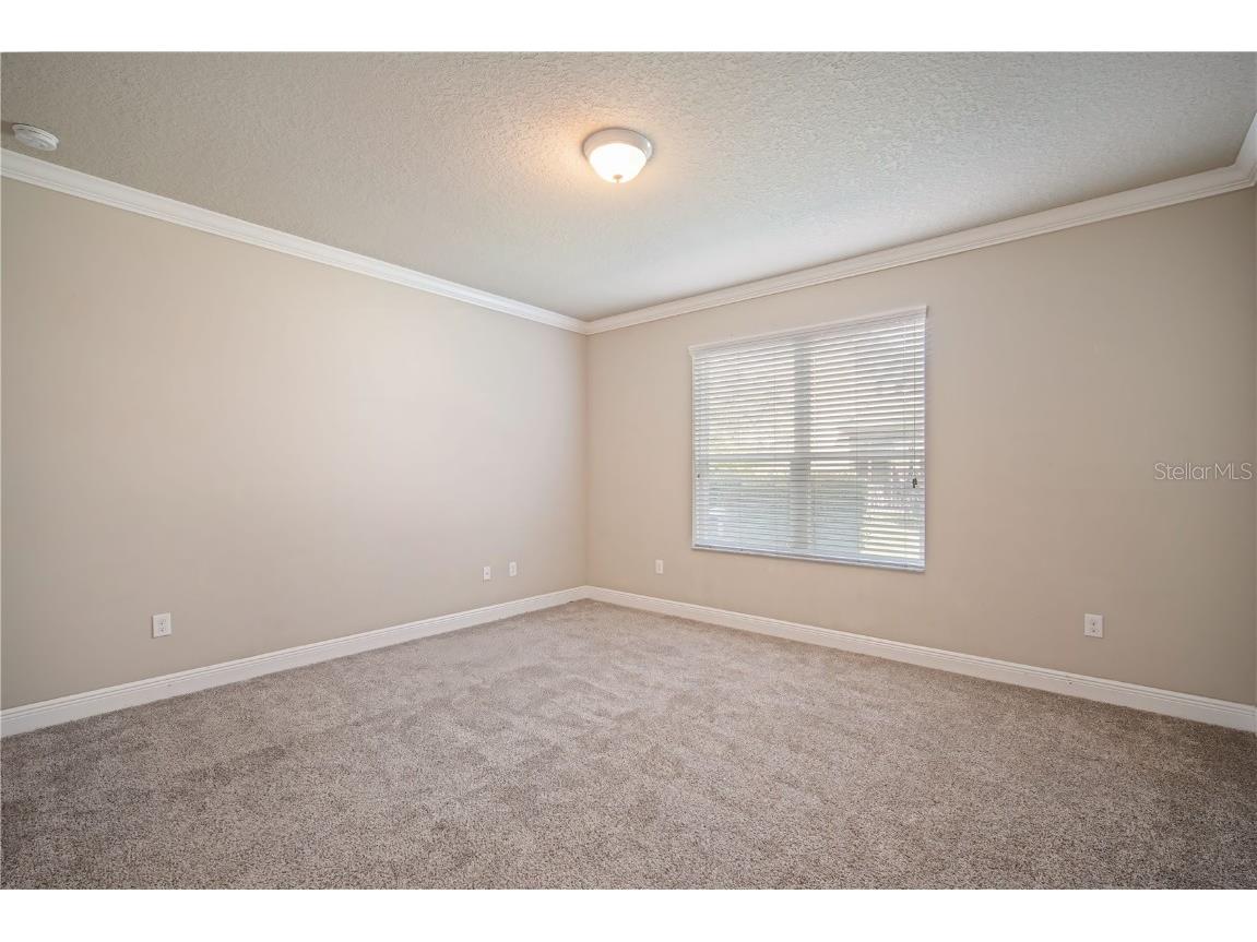 15604 Starling Crossing Drive Lithia FL 33547 TB8417526 image13