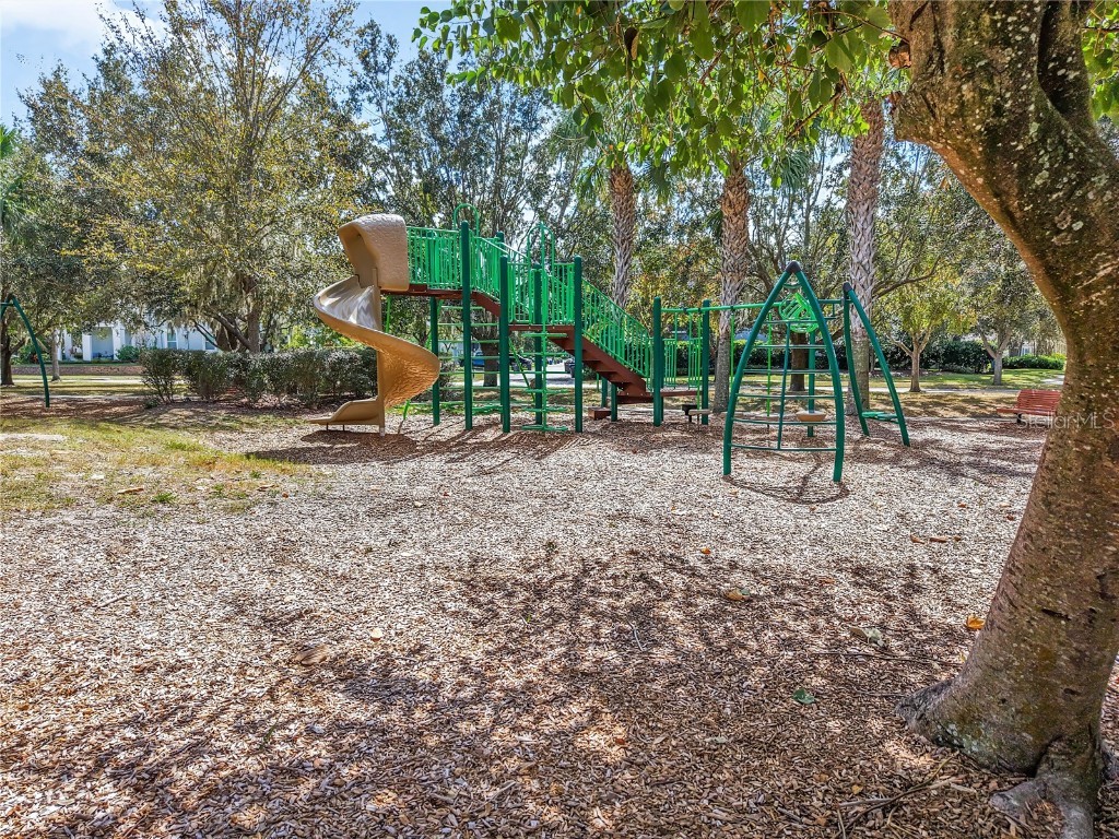 15604 Starling Crossing Drive Lithia FL 33547 TB8417526 image27