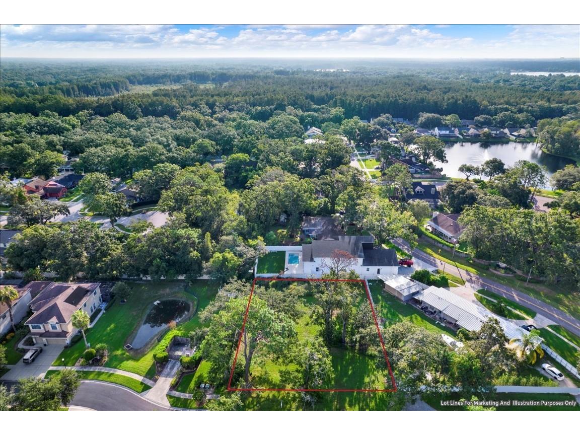 15605 N Himes Avenue Tampa FL 33618 TB8428573 image1