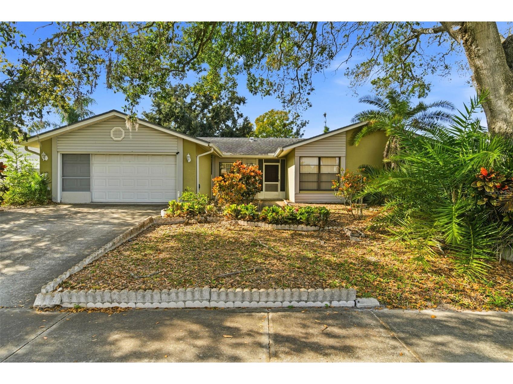 15606 Farnsworth Lane Tampa FL 33624 TB8464021 image1