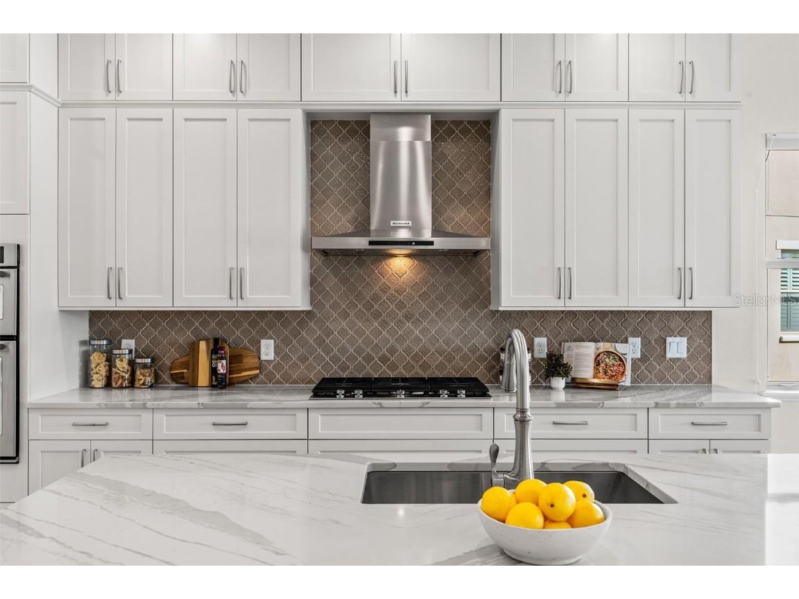 15606 Shorebird Lane Winter Garden FL 34787 O6367956 image9