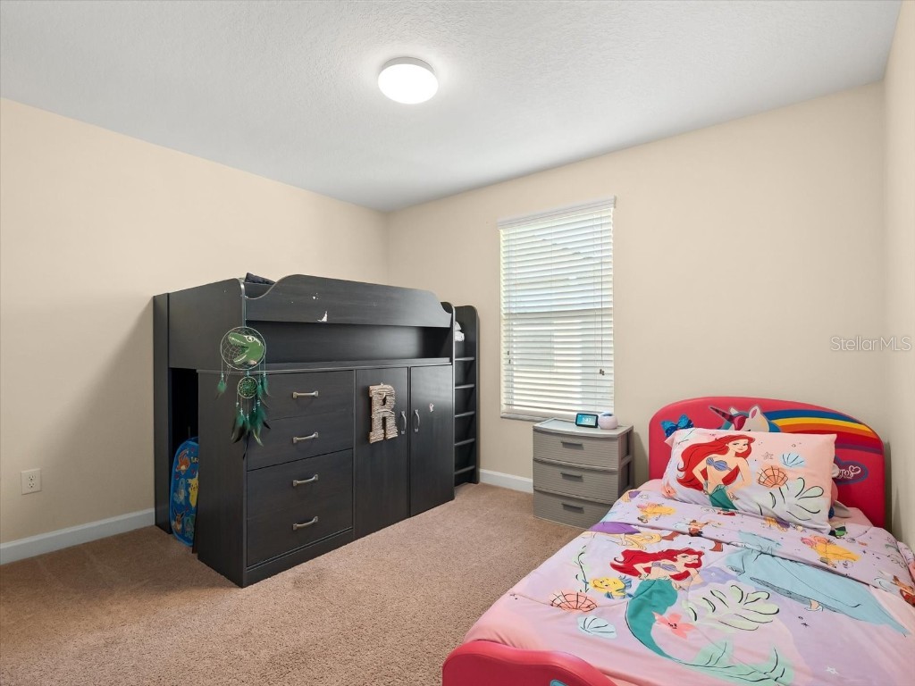 15607 Camp Dubois Crescent Winter Garden FL 34787 O6360056 image25