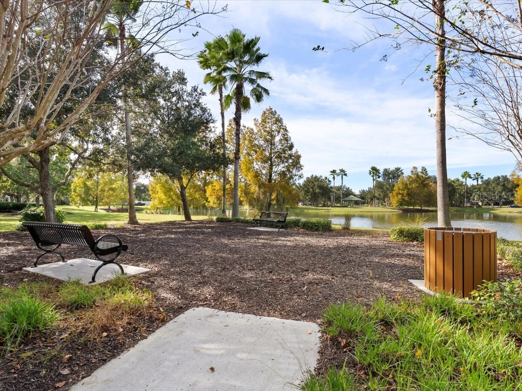 15607 Camp Dubois Crescent Winter Garden FL 34787 O6360056 image37