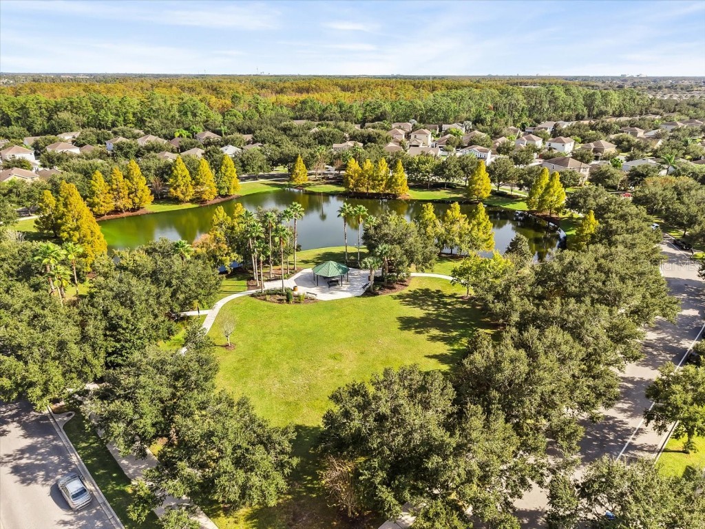 15607 Camp Dubois Crescent Winter Garden FL 34787 O6360056 image41