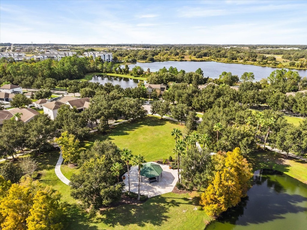 15607 Camp Dubois Crescent Winter Garden FL 34787 O6360056 image47