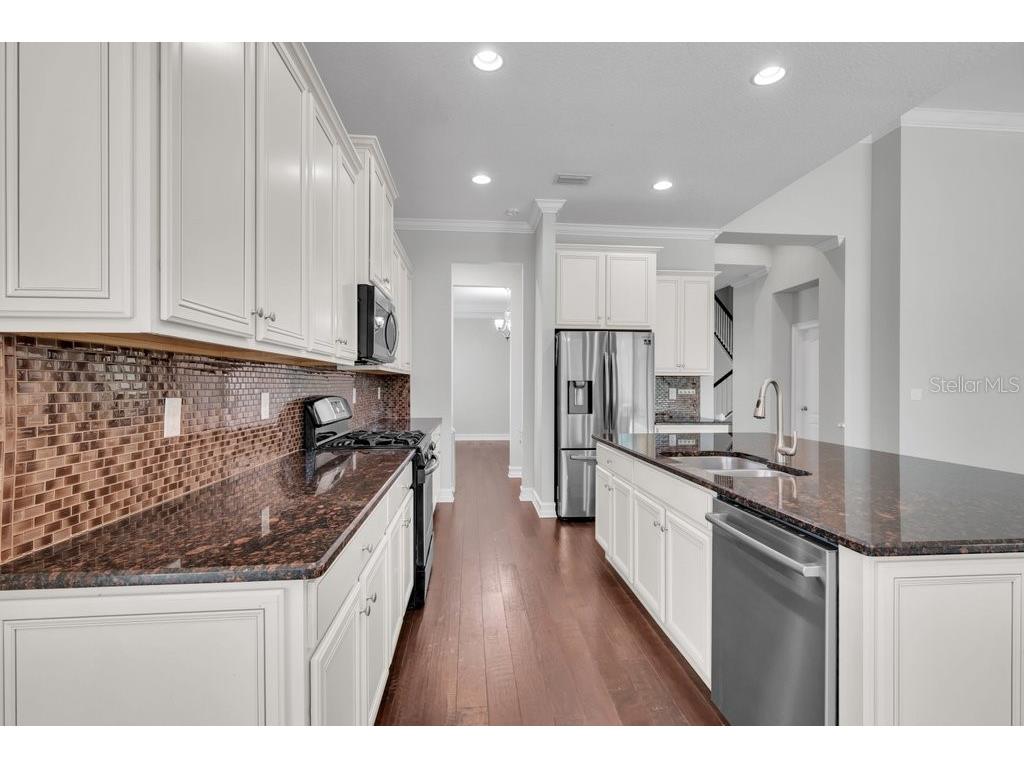 15607 Sunset Run Lane Lithia FL 33547 TB8437682 image19