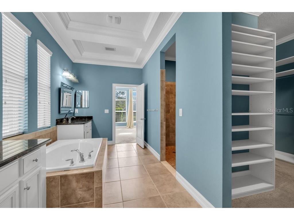 15607 Sunset Run Lane Lithia FL 33547 TB8437682 image25