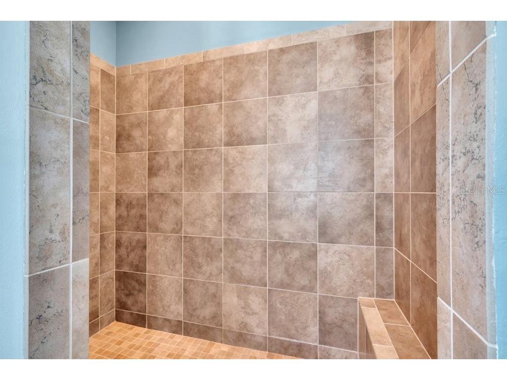 15607 Sunset Run Lane Lithia FL 33547 TB8437682 image28