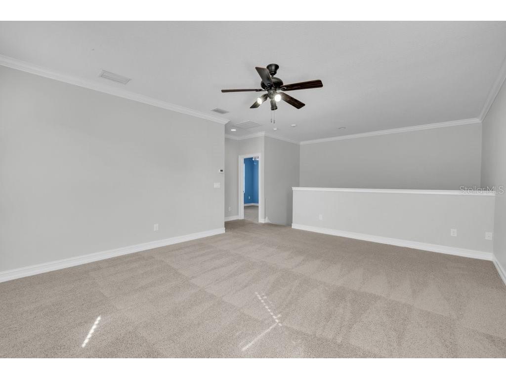 15607 Sunset Run Lane Lithia FL 33547 TB8437682 image30