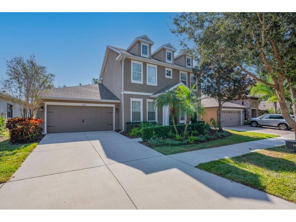 15607 Sunset Run Lane Lithia FL 33547 TB8437682 image4