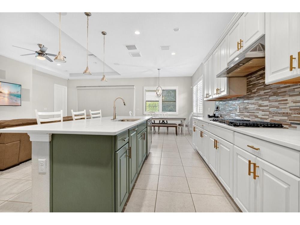 15607 Sylvester Palm Drive Winter Garden FL 34787 O6410558 image10