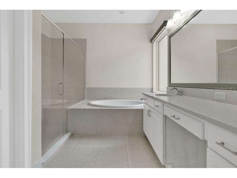 15607 Sylvester Palm Drive Winter Garden FL 34787 O6410558 image22