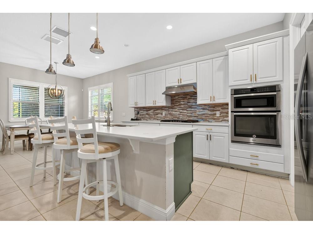 15607 Sylvester Palm Drive Winter Garden FL 34787 O6410558 image9