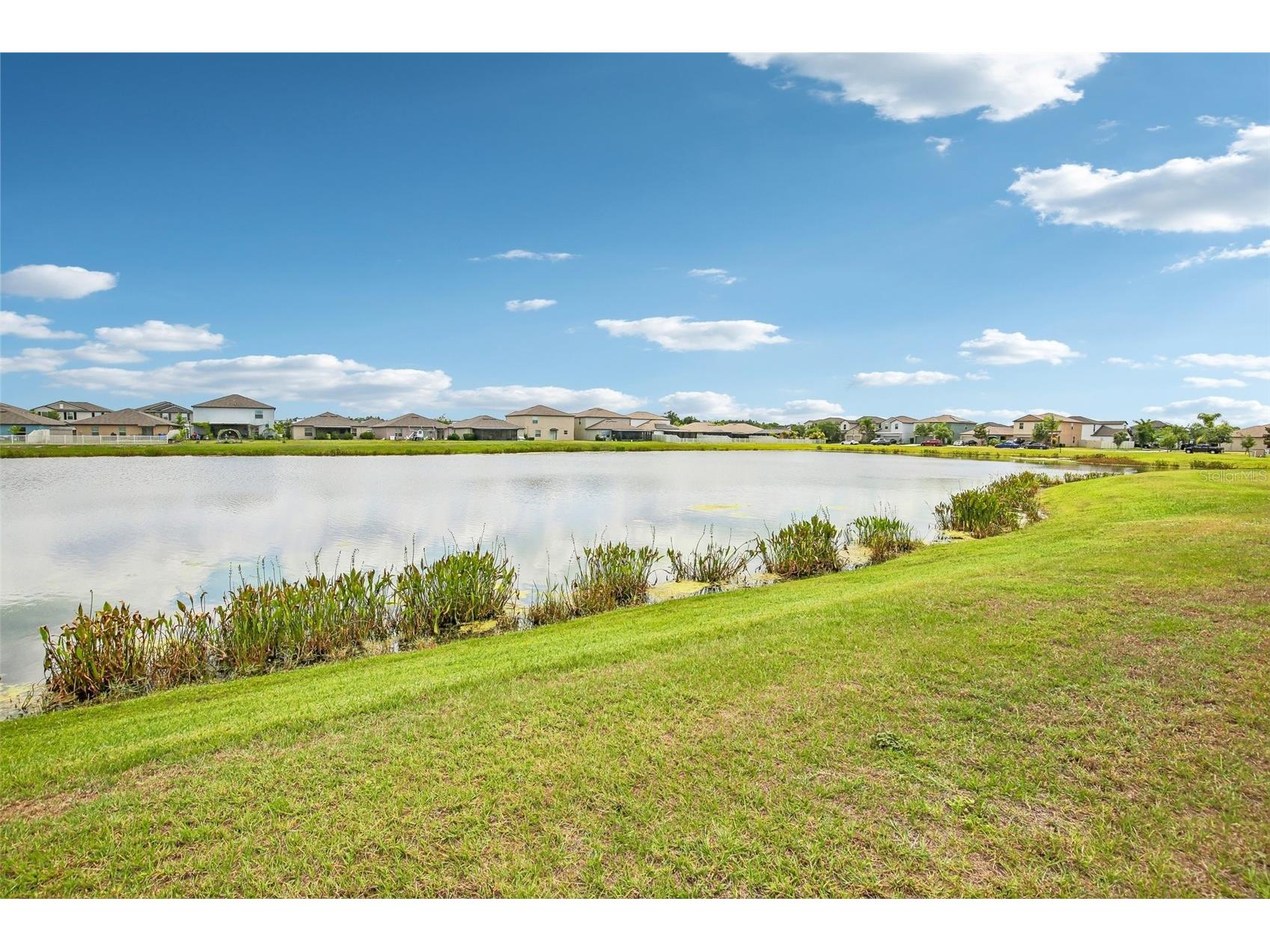 15608 Miller Creek Drive Sun City Center FL 33573 TB8507263 image38