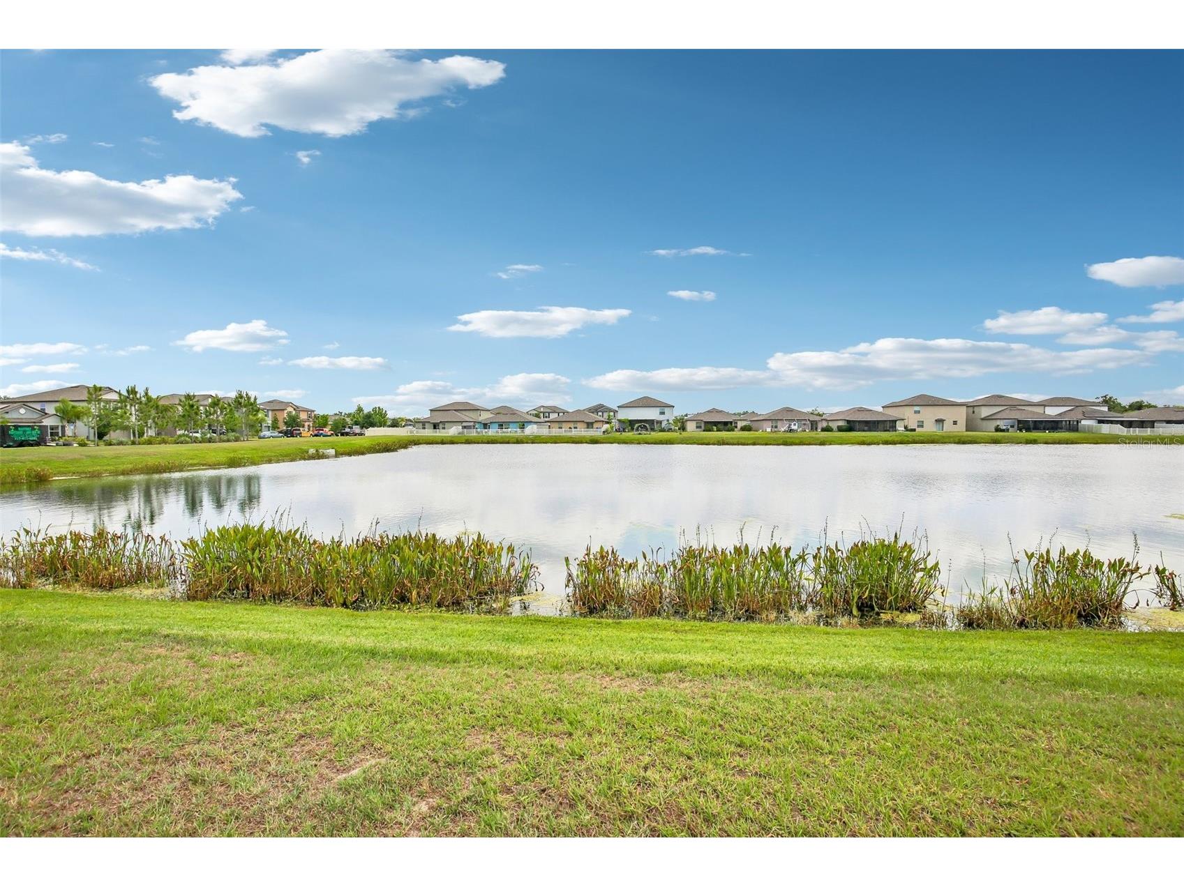 15608 Miller Creek Drive Sun City Center FL 33573 TB8507263 image39
